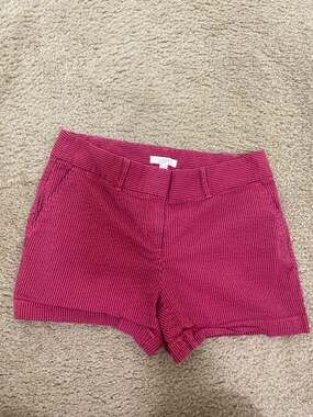 LOFT Pink and Navy Blue Striped Seersucker Chino Shorts Size 4